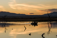 Rowboat at Havasu National Wildlife Refuge, AZ