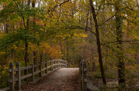 Footbridge over Rock Creek