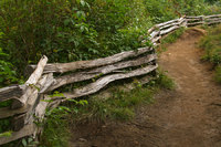 Split rail fence along hiking trail