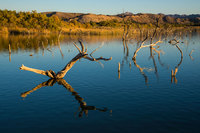 Golden hills, Havasu Wildlife Refuge, AZ