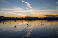 Sunset, Havasu Wildlife Refuge, AZ