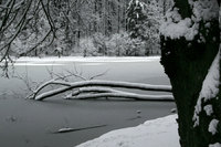 Frozen lake