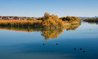 Reflection, Havasu Wildlife Refuge, AZ