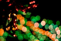 Green holiday lights
