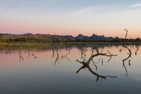 Pink skies, Havasu Wildlife Refuge, AZ