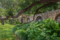 Grounds of the Alamo