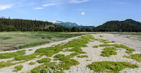 Juneau-beach off Glacier Highway