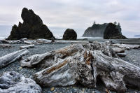 Beach, Olympic Peninsula, Washington state