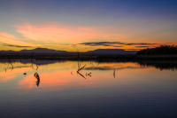 Sunset colors, Havasu National Wildlife Refuge, AZ